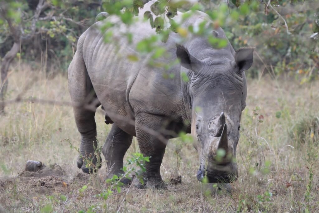 WhatsApp Image 2025-11-08 at 13.46.47_98cd9be8