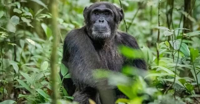 WhatsApp Image 2025-11-08 at 13.46.48_4b222222